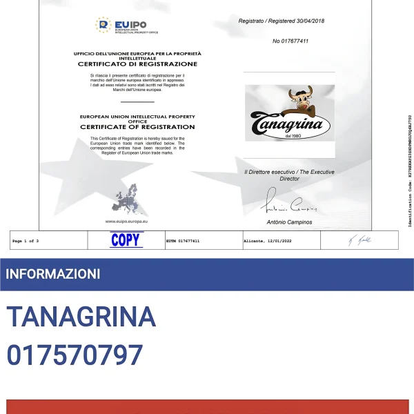 SLIDES BRANDREGISTRATO.pdf (15)